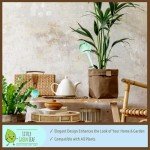 Little Green Leaf Watering Globes for Plants (4pk)