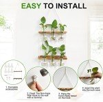 Wall-Mounted Plant Propagation Station with Wooden Stand