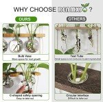 Wall-Mounted Plant Propagation Station with Wooden Stand