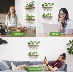 Wall-Mounted Plant Propagation Station with Wooden Stand