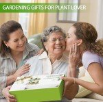 Wall-Mounted Plant Propagation Station with Wooden Stand