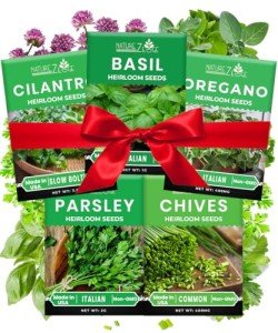 Herb Seed Variety Kit: Oregano, Cilantro, Basil & More