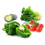 Salad Vegetable Seeds Variety Pack - Romaine Lettuce