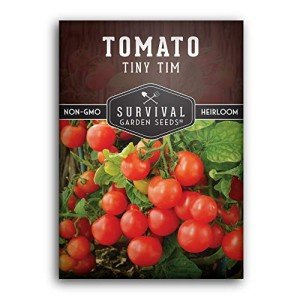 Tiny Tim Tomato Seeds for Home Gardening