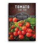 Tiny Tim Tomato Seeds for Home Gardening