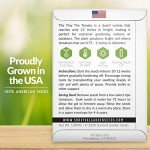 Tiny Tim Tomato Seeds for Home Gardening