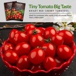 Tiny Tim Tomato Seeds for Home Gardening