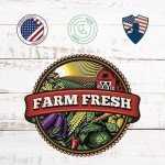 Salad Vegetable Seeds Variety Pack - Romaine Lettuce