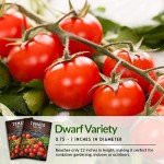 Tiny Tim Tomato Seeds for Home Gardening