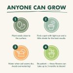 Edible Flower Seed Starter Kit for Indoor Gardening