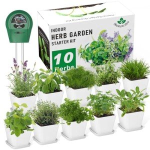 Indoor Herb Garden Starter Kit with 10 Varieties