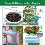 Smart Hydroponic Garden Kit with LED Light