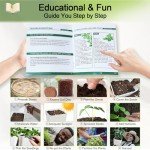 Indoor Herb Garden Starter Kit with 10 Varieties