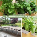 Indoor Herb Garden Starter Kit with 10 Varieties