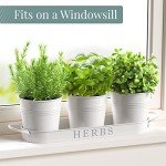 Indoor Herb Garden Planter Set – 3 Pots