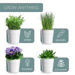 Indoor Herb Garden Planter Set – 3 Pots