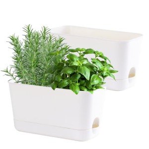 Oliz Self-Watering Indoor Herb Garden Planter