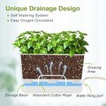 Oliz Self-Watering Indoor Herb Garden Planter