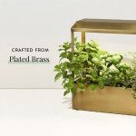 Smart Growhouse with LED Lights for Indoor Plants