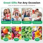 GreeHealth Hydroponics Indoor Herb Garden Kit