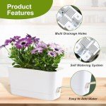 Oliz Self-Watering Indoor Herb Garden Planter