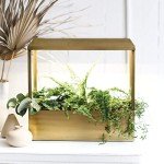 Smart Growhouse with LED Lights for Indoor Plants