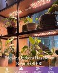 20W Full Spectrum Grow Lights with Timer (2 Pcs)