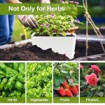 Oliz Self-Watering Indoor Herb Garden Planter