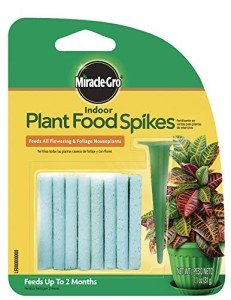 Miracle-Gro Indoor Plant Food Spikes for Thriving Greens