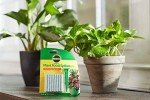 Miracle-Gro Indoor Plant Food Spikes - 24 Count