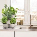 Stackable Vertical Planter for Easy Herb Growing