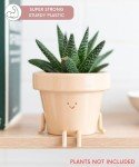 Cute 3.5 Inch Funny Plant Pot with Drainage