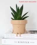Cute 3.5 Inch Funny Plant Pot with Drainage