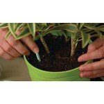 Miracle-Gro Indoor Plant Food Spikes - 24 Count