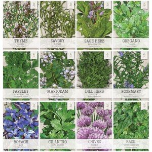 Culinary Herb Seeds Variety Pack – 12 Options