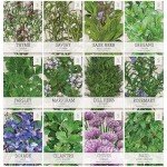 Culinary Herb Seeds Variety Pack – 12 Options