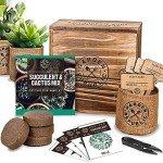Cactus & Succulent Seed Starter Kit for Indoors