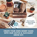 Cactus & Succulent Seed Starter Kit for Indoors