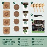 Cactus & Succulent Seed Starter Kit for Indoors
