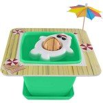 AvoSeedo Avocado Tree Growing Kit for Kids