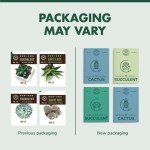 Cactus & Succulent Seed Starter Kit for Indoors