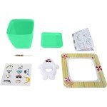 AvoSeedo Avocado Tree Growing Kit for Kids