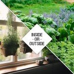 Culinary Herb Seeds Variety Pack – 12 Options