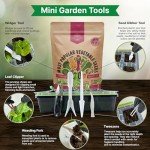 Vegetable Seeds Variety Pack - Non-GMO Heirloom Seeds