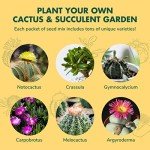 Cactus & Succulent Seed Starter Kit for Indoors