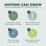 Cactus & Succulent Seed Starter Kit for Indoors