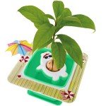 AvoSeedo Avocado Tree Growing Kit for Kids