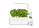 Smart Indoor Herb Garden Kit with Grow Light