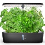 12-Pod Indoor Hydroponic Herb Garden with LED Light