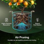 VIVOSUN 5-Pack Heavy-Duty Grow Bags with Handles